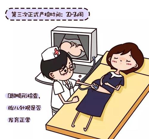 孕检都检查什么项目