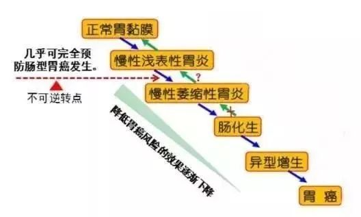 幽门螺杆菌是胃癌的元凶，建议所有感染者根除，18-40岁前受益最大！